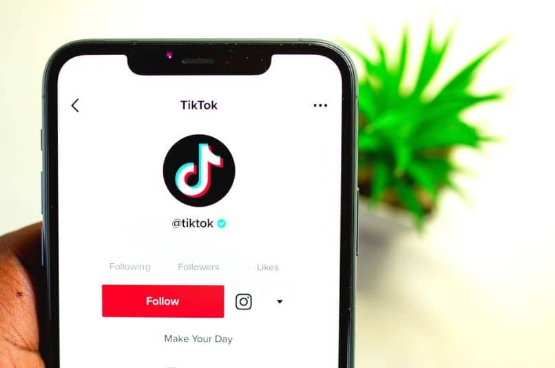 How to download private videos from TikTok