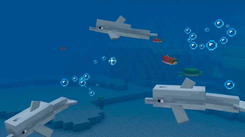 Cara menjinakkan lumba-lumba di Minecraft