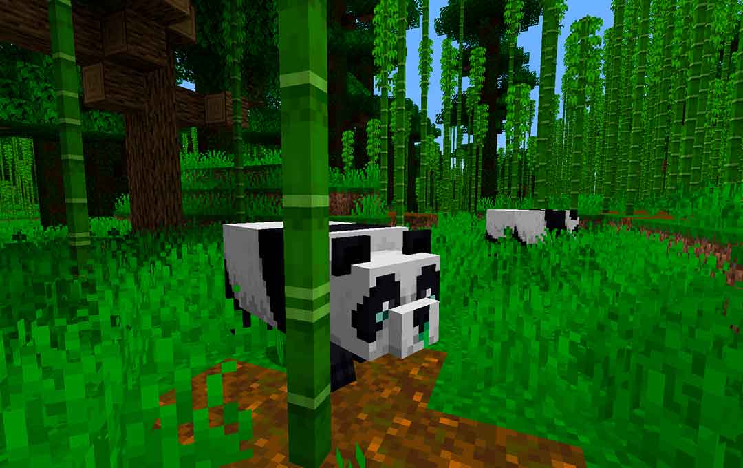 Carane golek, jenis lan tame panda ing Minecraft