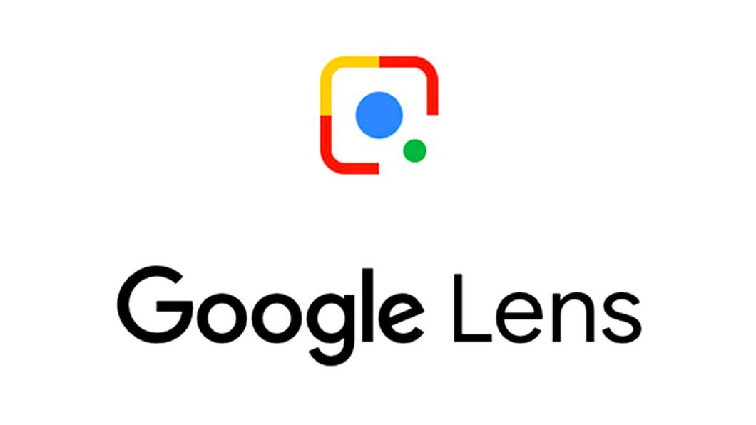 Cómo identificar plantas con Google Lens